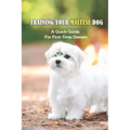 Training Your Maltese Dog: A Quick Guide For First-Time Owners: Maltese Breed Characteristic