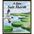 A Day in the Salt Marsh