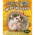 My Pet Hedgehog