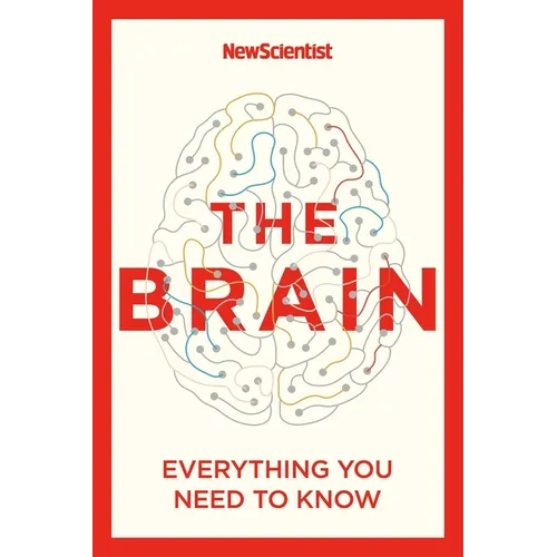 The Brain: Everything You Need to Know