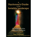 A Psychonaut's Guide to the Invisible Landscape: The Topography of the Psychedelic Experience