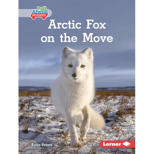 Arctic Fox on the Move