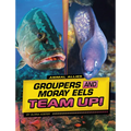 Groupers and Moray Eels Team Up!