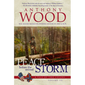 Peace Before the Second Storm: A Story of the Civil War
