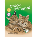 Cuddled and Carried