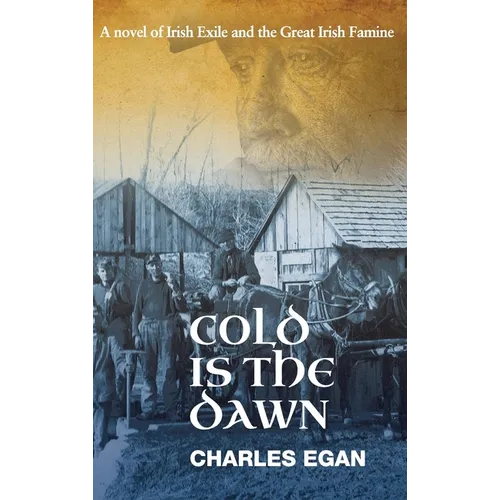 Cold is the Dawn: A Novel of Irish Exile and the Great Irish Famine