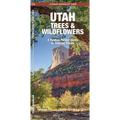 Utah Trees & Wildflowers: A Folding Pocket Guide to Familiar Plants