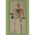 My Eclectic Human Body: Eclectic Knowledge Journey (Summaries, Principles & Exercises)