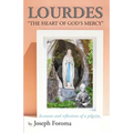 Lourdes - "The Heart of God's Mercy": Accounts and reflections of a pilgrim