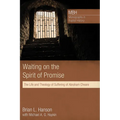 Waiting on the Spirit of Promise: The Life and Theology of Suffering of Abraham Cheare