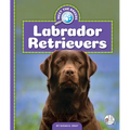 Labrador Retrievers