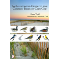 An Illustrated Guide to the Common Birds of Cape Cod