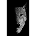 In the Company of Wolves: Werewolves, Wolves and Wild Children