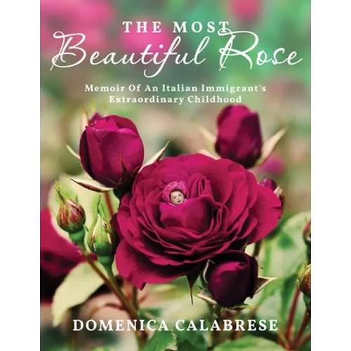 The Most Beautiful Rose: Memoir Of An Italian Immigrant's Extraordinary Childhood