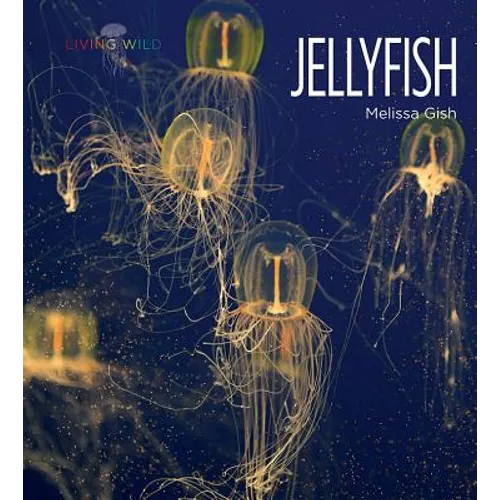 Jellyfish