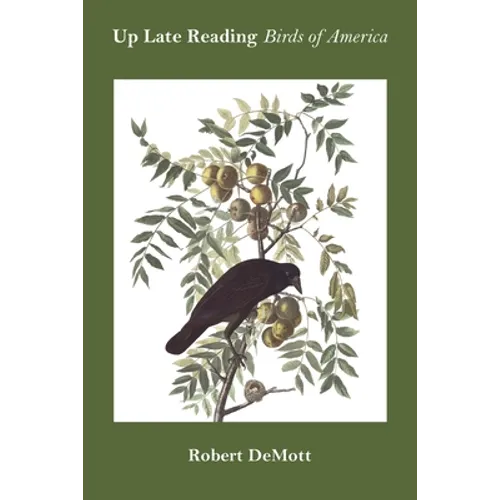 Up Late Reading Birds of America