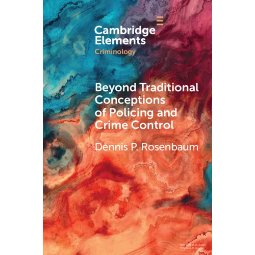 Beyond Traditional Conceptions of Policing and Crime Control