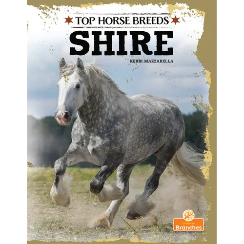 Shire