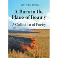 A Burn in the Place of Beauty: A Collection of Poetry