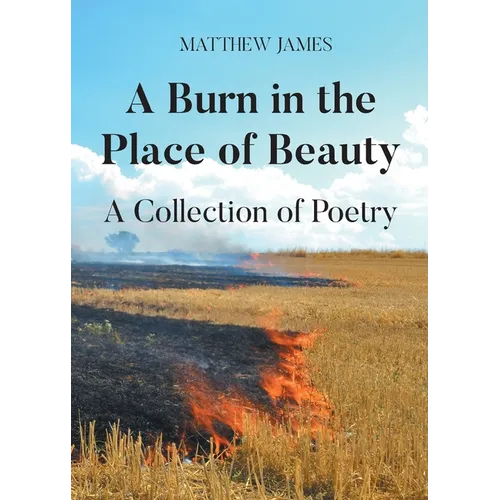 A Burn in the Place of Beauty: A Collection of Poetry