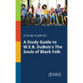 A Study Guide for A Study Guide to W.E.B. DuBois's The Souls of Black Folk