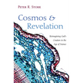 Cosmos and Revelation: Reimagining God's Creation in the Age of Science