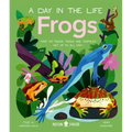 Frogs (a Day in the Life): What Do Frogs, Toads, and Tadpoles Get Up to All Day?