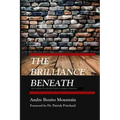The Brilliance Beneath: The Power of Perspective in Urban Schools