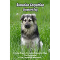 Romanian Carpathian Shepherd Dog: A Large Breed of Livestock Guardian Dogs That Originated in The Carpathian Mountains: What You Should Know About Rom