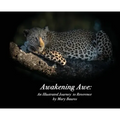 Awakening Awe: An Illustrated Journey to Reverence