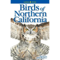 Birds of Northern California