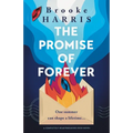 The Promise of Forever: A completely heartbreaking Irish novel