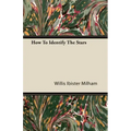 How To Identify The Stars