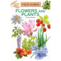 Flowers and Plants
