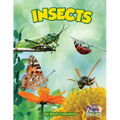 Insects