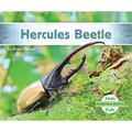 Hercules Beetle