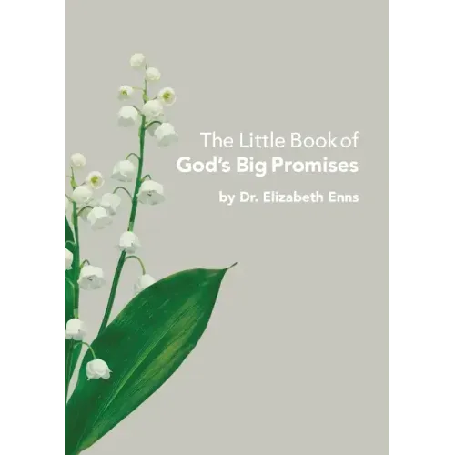 The Little Book of God's Big Promises