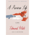 A Previous Life: Another Posthumous Novel