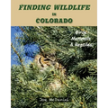 Finding Wildlife In Colorado: Birds, Mammals and Reptiles