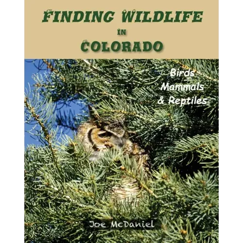 Finding Wildlife In Colorado: Birds, Mammals and Reptiles