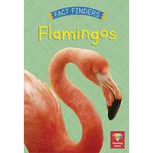 Flamingos
