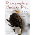 Photographing Birds of Prey: The Art of Identifying & Documenting Raptors