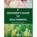 A Beginner's Guide to Rice Farming: How to Start a Rice Farm, Step-by-Step Approach