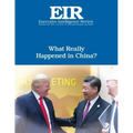 What Really Happened in China?: Executive Intelligence Review; Volume 44, Issue 47