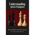 Understanding Queen Endgames