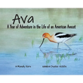 Ava: A Year of Adventure in the Life of an American Avocet