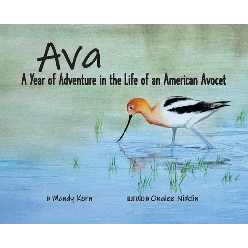 Ava: A Year of Adventure in the Life of an American Avocet