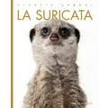 La Suricata