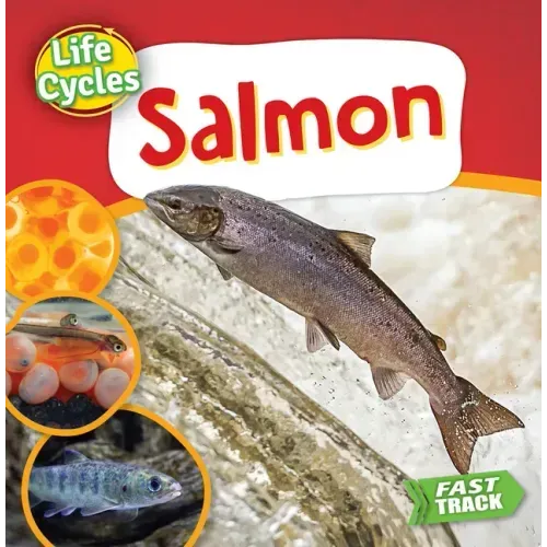 Salmon