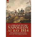 Napoleon at Bay, 1814: the Campaigns to the Fall of the First Empire